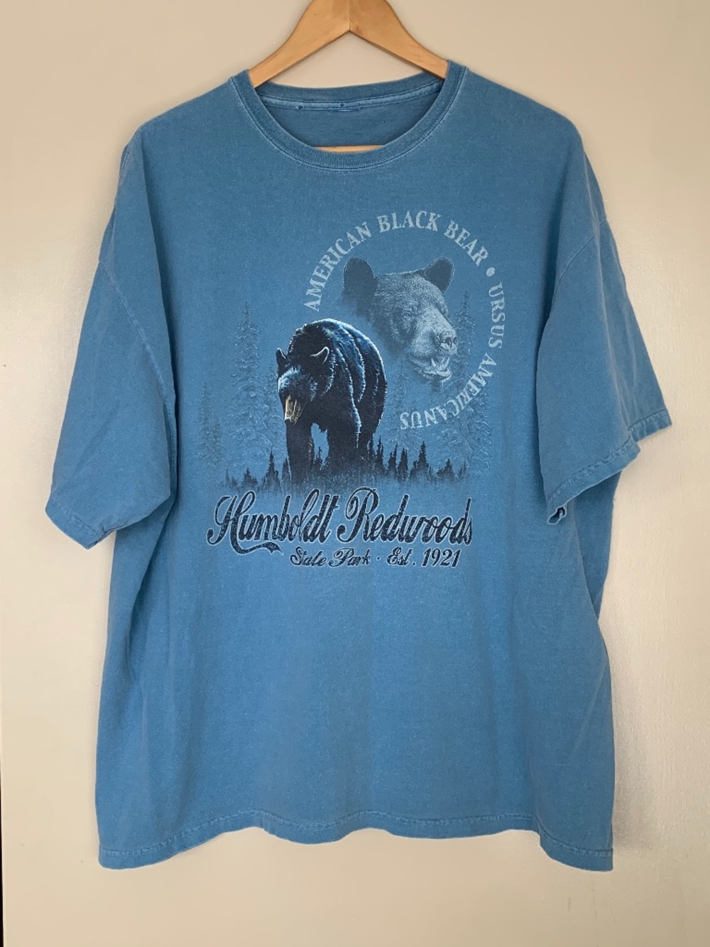 Vintage Humboldt Redwoods Blue American Black Bear Graphic T-shirt Sz.XL? Tee